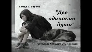 Очень трогательный стих про  одиночество душ!!!Автор А.Сорока. Читает Nataliya Prokoshina