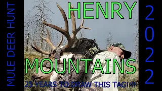 BIG MULEYS ON THE HENRY MOUNTIANS!!!!