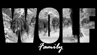 Wolf family - Приглос на 4atty aka Tilla & Mono