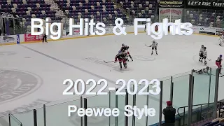 Battling it Out: Thrilling Hits and Hockey Fights in the Peewee 12U Youth Hockey 2022-2023 Season