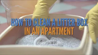 HOW TO CLEAN A LITTER BOX IN AN APARTMENT