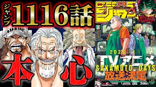 【 ワンピース 1116話 】真実の公表を聞いたレイリーが本心を曝け出す！ベガパンクが予期する世界壊滅のきっかけは意図的にコントロールされている！？