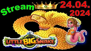 💥Stream💥🐍Little Big Snake🐞24.04.2024