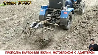 ПРОПОЛКА КАРТОФЕЛЯ ЕЖАМИ МОТОБЛОКОМ С АДАПТЕРОМ СЕЗОН 2023 / WEEDING POTATOES WITH A MINITRACTOR