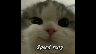 speed song pixote nem de graça ✨#speed#song#musica