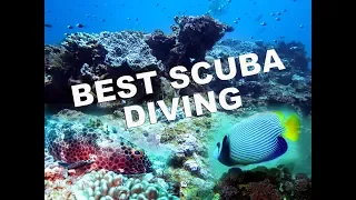 World’s Best Scuba Diving - South Africa, Sodwana bay