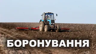 Боронування оранки під сою. Чи вносити селітру на пшеницю зараз чи почекати?