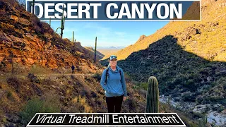 Sabino Canyon Walking Tour - Tucson Area Virtual Treadmill Walk - 4k City Walks