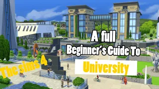 A Full Beginner's Guide To University!! Discover University, Sims 4!!