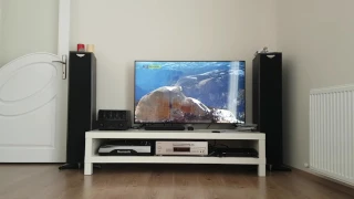 Primaluna Prologue One , Triangle Altea EX & Onkyo DX7511