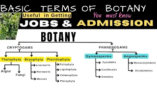 Botany Basic Terms asked in Job and Admission Interviews | Info Biodiversity
