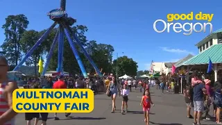 On the Go with Ayo at Multnomah County Fair
