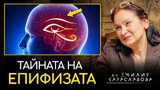 Епифизата: Порталът Към Енерго-Информационния Потенциал - Д-р Емилия Караславова | ИНРА