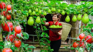 60 Busy Days Harvesting Crops Go to Market to Sell, Spring Crop Care, Animal Care, Green Garden Care