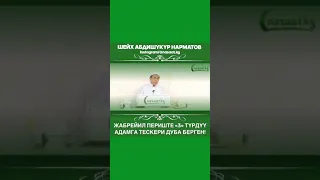 Жабрейил периште "3" Турдуу адамга тескери дуба берген!