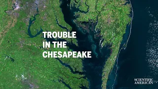 Will the Chesapeake Become a Dead Zone?