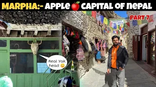 MARPHA:- HIDDEN village with HIDDEN culture of NEPAL😳 | Marpha brandy 🍾|  India🇮🇳 to Nepal🇳🇵 Ep 7