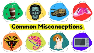 Common Misconceptions Debunked: Prepare to Be Surprised!