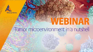 Tumor microenvironment in a nutshell [WEBINAR]