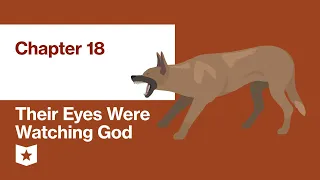 Their Eyes Were Watching God by Zora Neale Hurston | Chapter 18