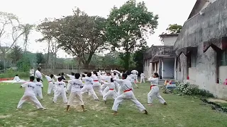 Karate (Red -- orange) practice || chudan & Gedan zuki