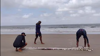 PESCA DE GUARAVIRA NA PRAIA DE MANGUE SÊCO RAPOSA.