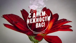 3 февраля - с Днём Нежности | Красивый стих про Нежность | Красивое пожелание Нежности