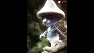 SMURF CAT BABY!!!