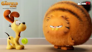 The Garfield Movie Trailer | K-Zone TV