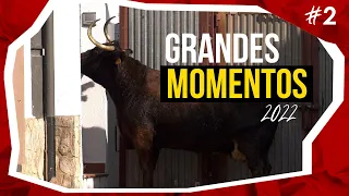 🤩 GRANDES MOMENTOS de 2022 · Segunda parte