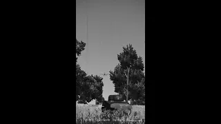 fighter crash　　U.S. Army Tank VS. Fighter aircraft　　　IL-2 Sturmovik:Ju 87 Stuka　 #shorts