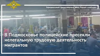 Ирина Волк: В Подмосковье полицейские пресекли нелегальную трудовую деятельность мигрантов