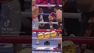 No Way! Back Punch By Teofimo Lopez #boxing #knockout #worldchampion
