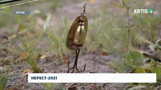 НЕРЕСТ-2021