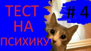 10 МИНУТ СМЕХА ДО СЛЁЗ. УГАРНЫЕ КОШКИ. УЛЫБНУЛСЯ? ПОСТАВЬ ЛАЙК =) # 4