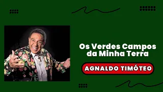 Agnaldo Timóteo - Os Verdes Campos da minha Terra