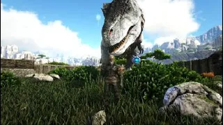 FAST AND EASY T-REX TAMING GUIDE: ARK VALGUERO TIPS AND TRICKS - DAY 4 EP.6