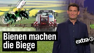 Artensterben: Wo sind all die Bienen hin? | extra 3 | NDR