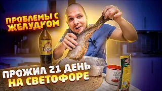 21 день на Светофоре я ВСЕ!