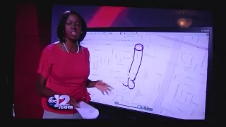 News Reporter Draws Penis