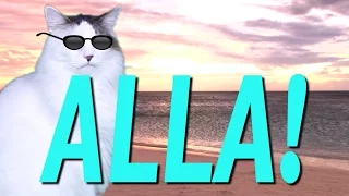 HAPPY BIRTHDAY ALLA! - EPIC CAT Happy Birthday Song