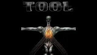 TOOL - Salival (Full Boxset Remastered + Live Concert Videos)