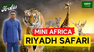 Riyadh Safari Adventure Riyadh Season 2021 | Nofa Wildlife Park Riyadh | رياض سفارى | Mini Africa