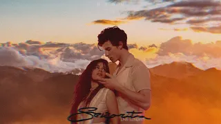 Shawn Mendes & Camila Cabello - Señorita [ Live Concept - Remix ] +Download