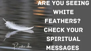 @PVPositiveVibes1111 White feathers spritual messages for you ✨🪶