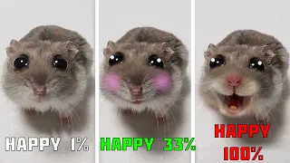 Sad Hamster Everytime with more Happy
