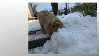 LEO & LOTTA: Neuschnee am 1. Dezember