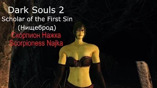 Dark Souls 2 Scorpioness Najka