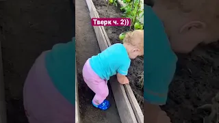 Тверк обучение ч.2)) #двигайзадом