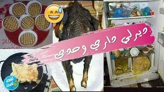 من كوارث ديرلي داري وحدي😂😂للترفيه فقط